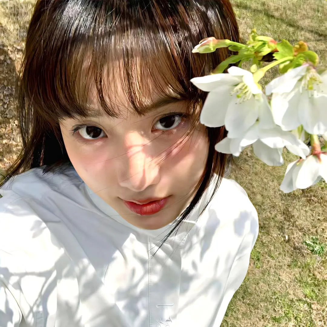 青梅酸酸你微甜